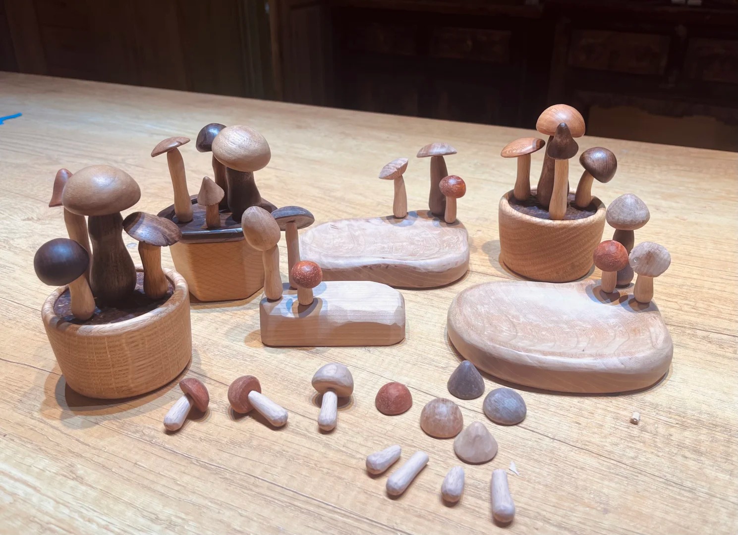 林涧木舍：咦，到处在长菌