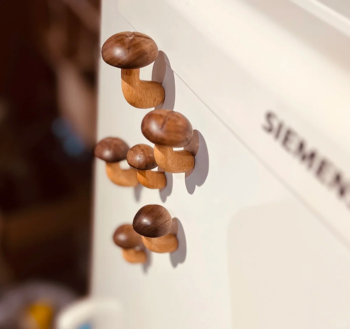 林涧木舍：咦，到处在长菌