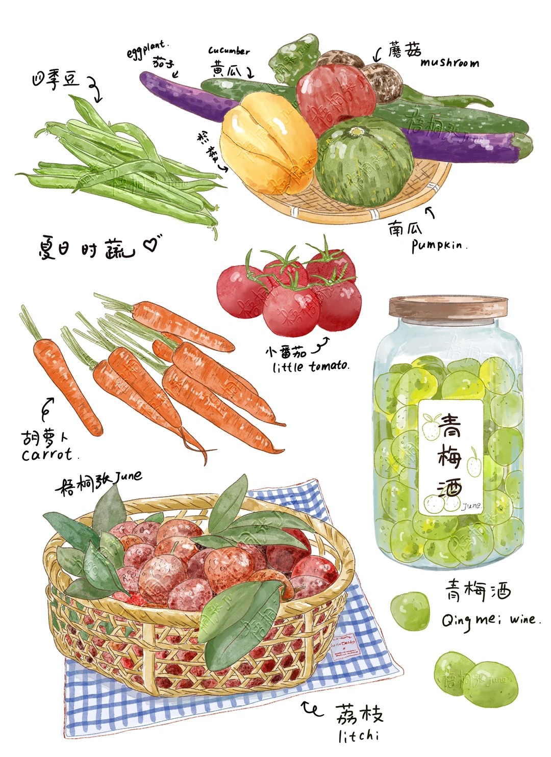 梧桐张：美食插画合集
