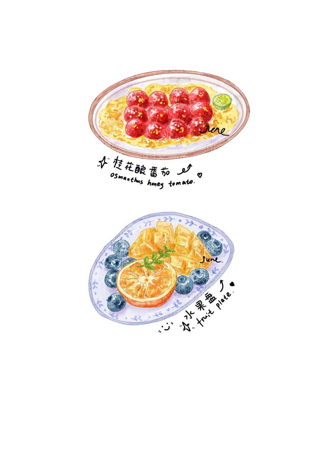 梧桐张：插画日记D38 | 土豆牛肉 | 虾仁芦笋
