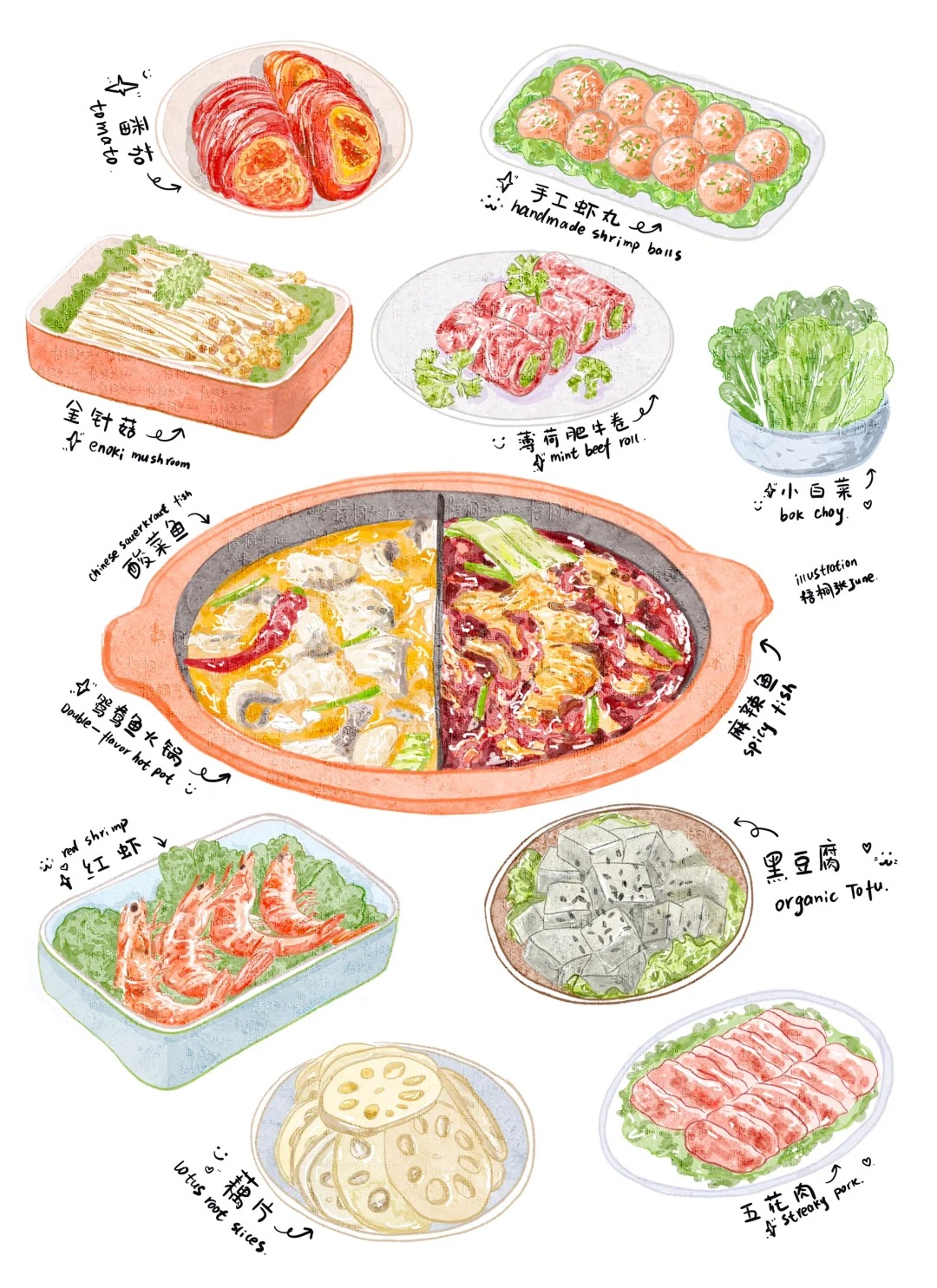 梧桐张：插画日记D39 | 火锅火锅 | 鸳鸯鱼火锅