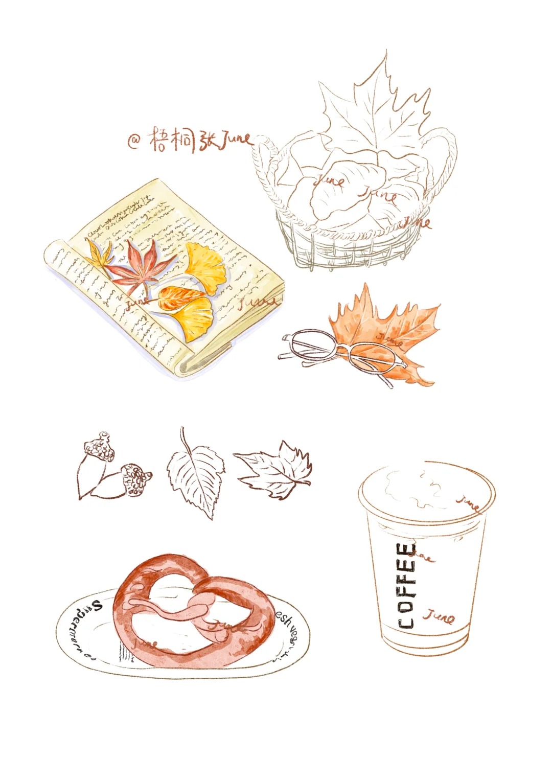 梧桐张：插画日记D48 | 我的秋日画册 | 落叶