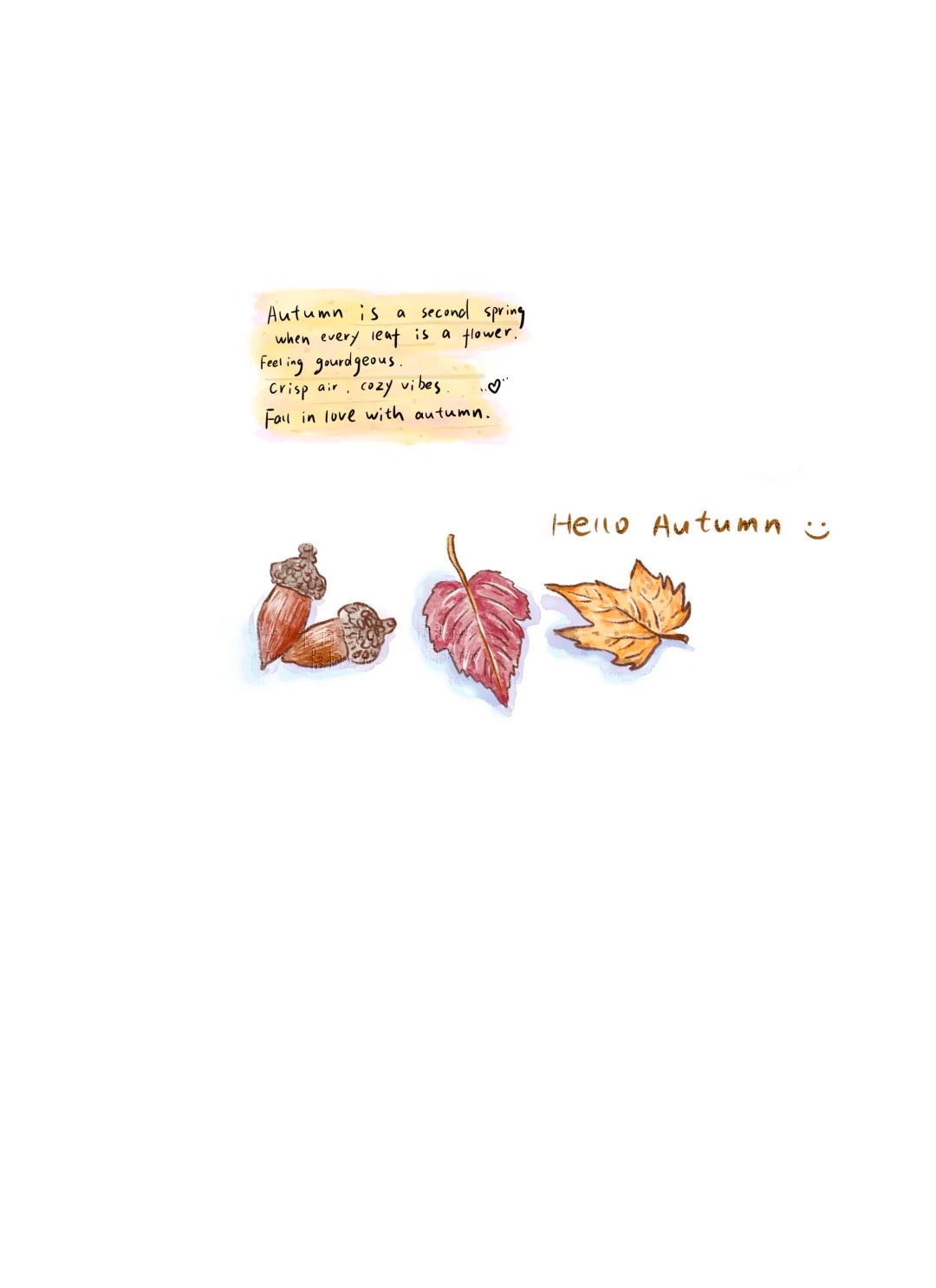 梧桐张：插画日记D48 | 我的秋日画册 | 落叶