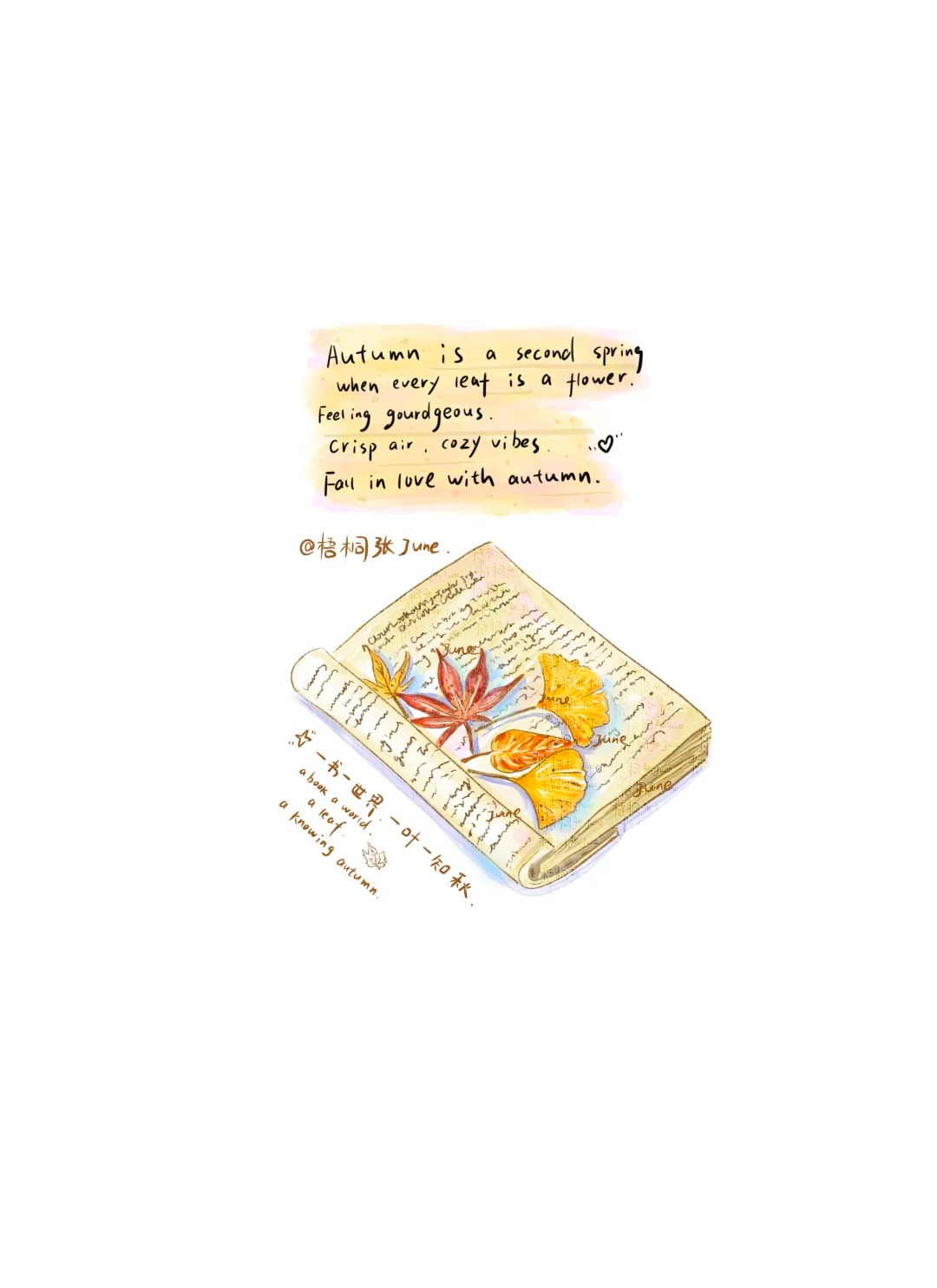 梧桐张：插画日记D48 | 我的秋日画册 | 落叶