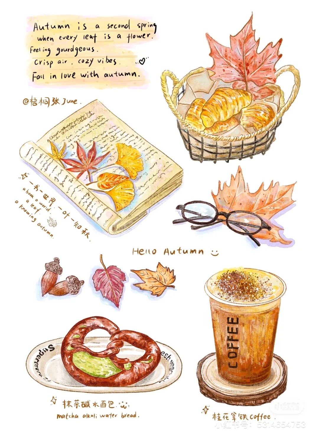 梧桐张：美食插画合集3