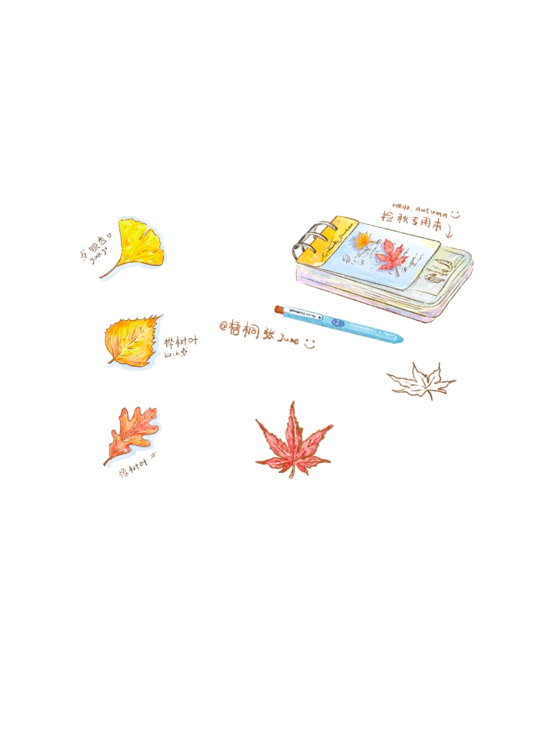 梧桐张：插画日记D51丨和秋天的公园干杯咖啡