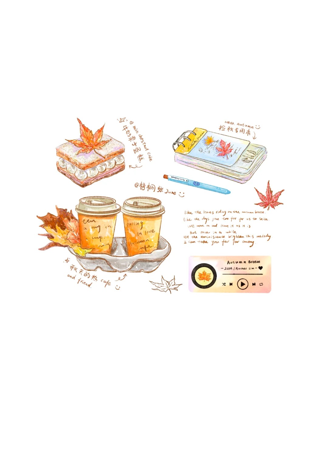 梧桐张：插画日记D51丨和秋天的公园干杯咖啡