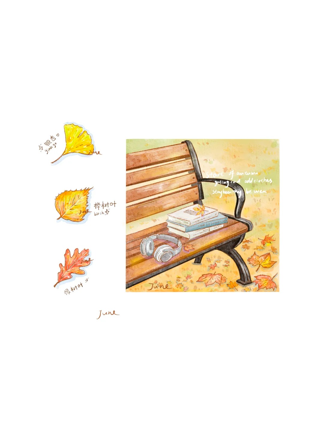 梧桐张：插画日记D51丨和秋天的公园干杯咖啡