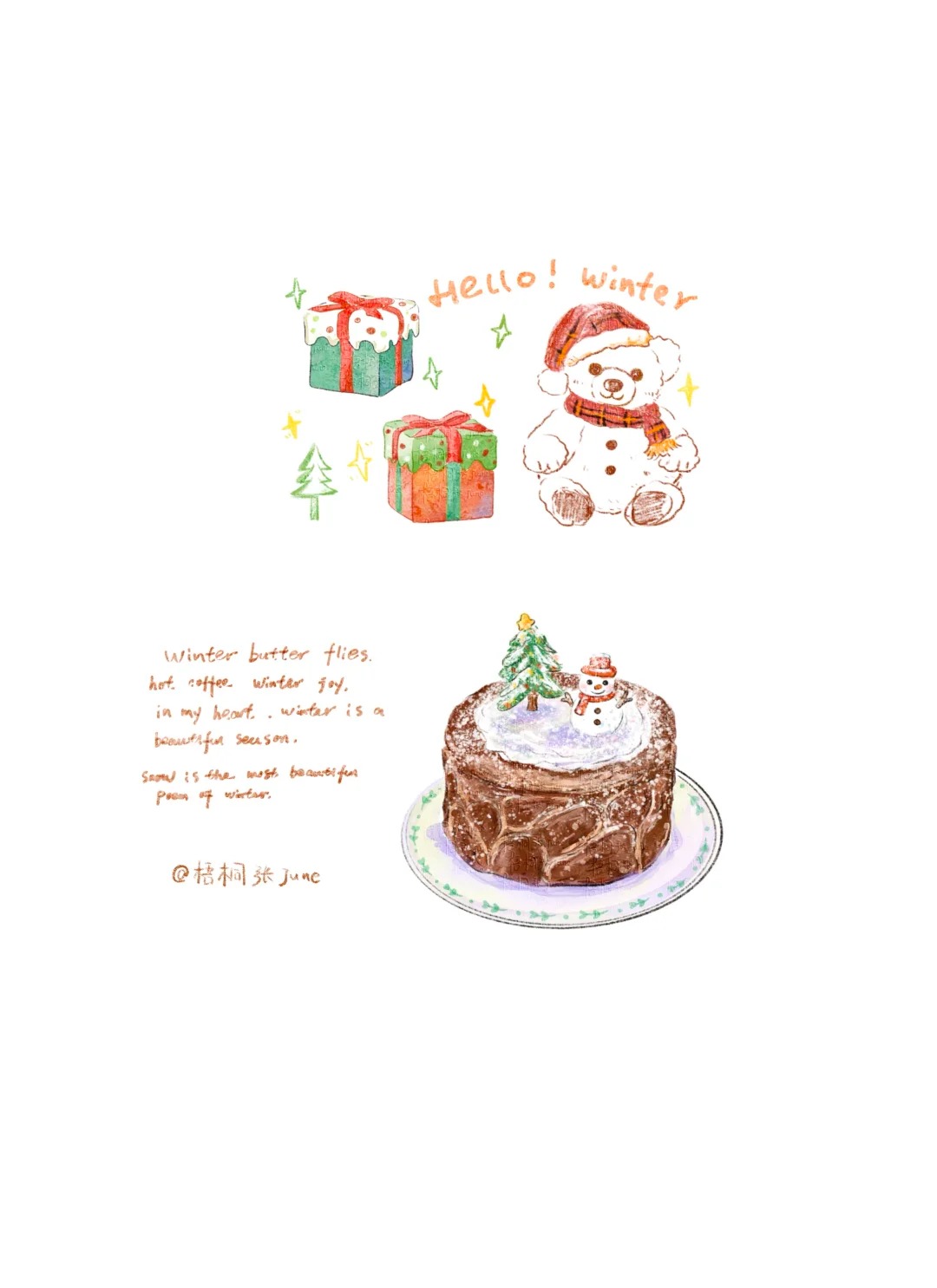 梧桐张：插画日记D58 | 给冬天加点郁金香