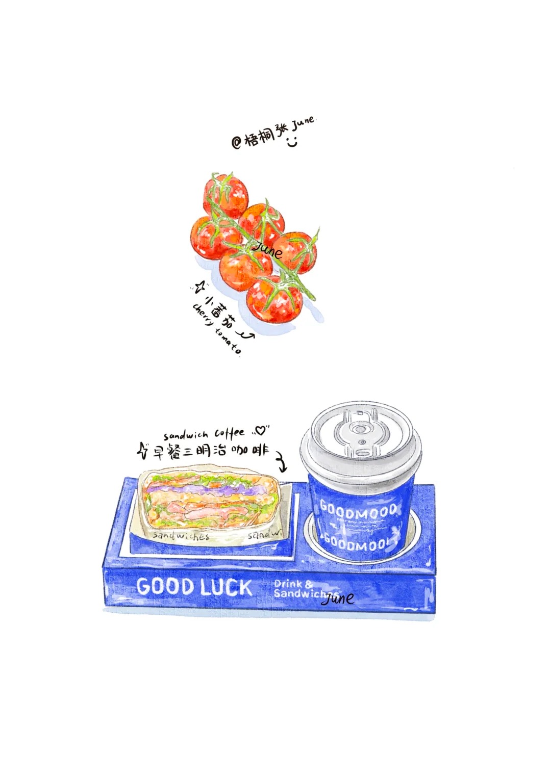 梧桐张：插画日记D61 | 三明治咖啡 | 樱桃番茄